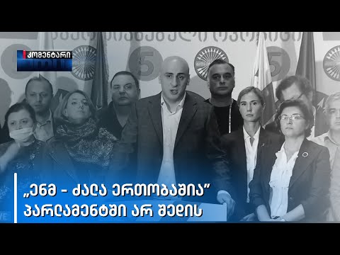 „არ შევალთ პარლამენტში, რომელსაც მხოლოდ ბიძინა ივანიშვილი ეძახის პარლამენტს\' - ნიკა მელია