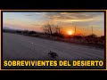 AVENTURA NÚMERO 152 Miercoles Por El Desierto 4