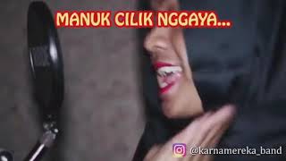 Lagu India versi manuk cilik