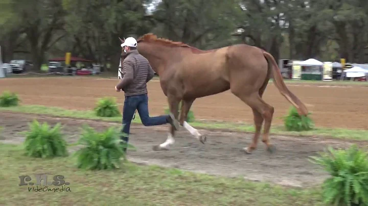 Zachary Brandt & Direct Advance at RED HILLS INTER...