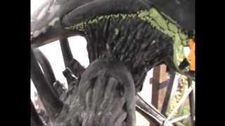 How to make an alien part 3 by P .Cairns