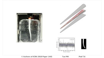 Bodily Aware Soft Robots: Integration of Proprioceptive and Exteroceptive Sensors