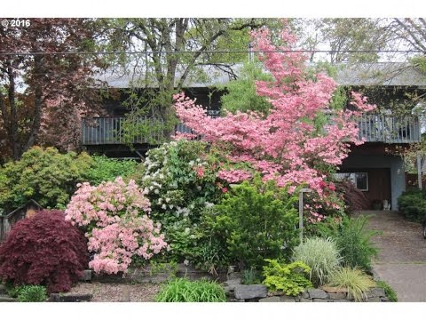 436 W D ST, Springfield, OR home video tour