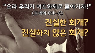 [바이블코어] 호세아 6:1~3은 진실한 회개일까 진실하지 않은 회개일까