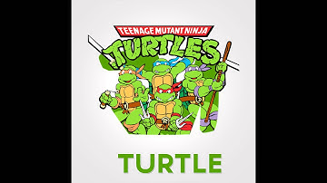 xJMx Turtle- #ChosensChallenge