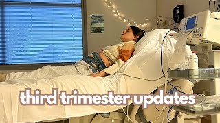 An Unexpected Hospital Visit &amp; Third Trimester Updates