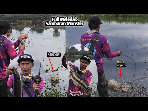 🔴 compilation BERBURU AYAM HUTAN //13 T3MBAK4N BRUTAL hunter djokam ‼️