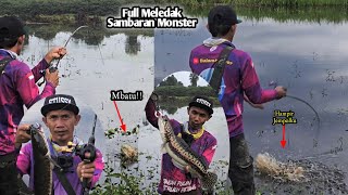 Download Lagu Keganasan Monster Toman dan Monster gabus di danau baru naik MP3