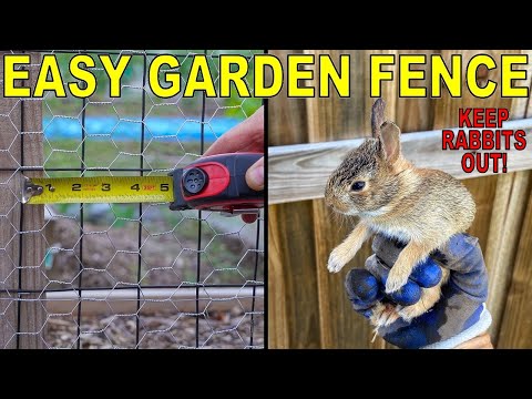 How To Use Rabbit Fence For Raised Garden Bed