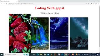How To Create Image Overlay Hover Effect Using Only HTML & CSS