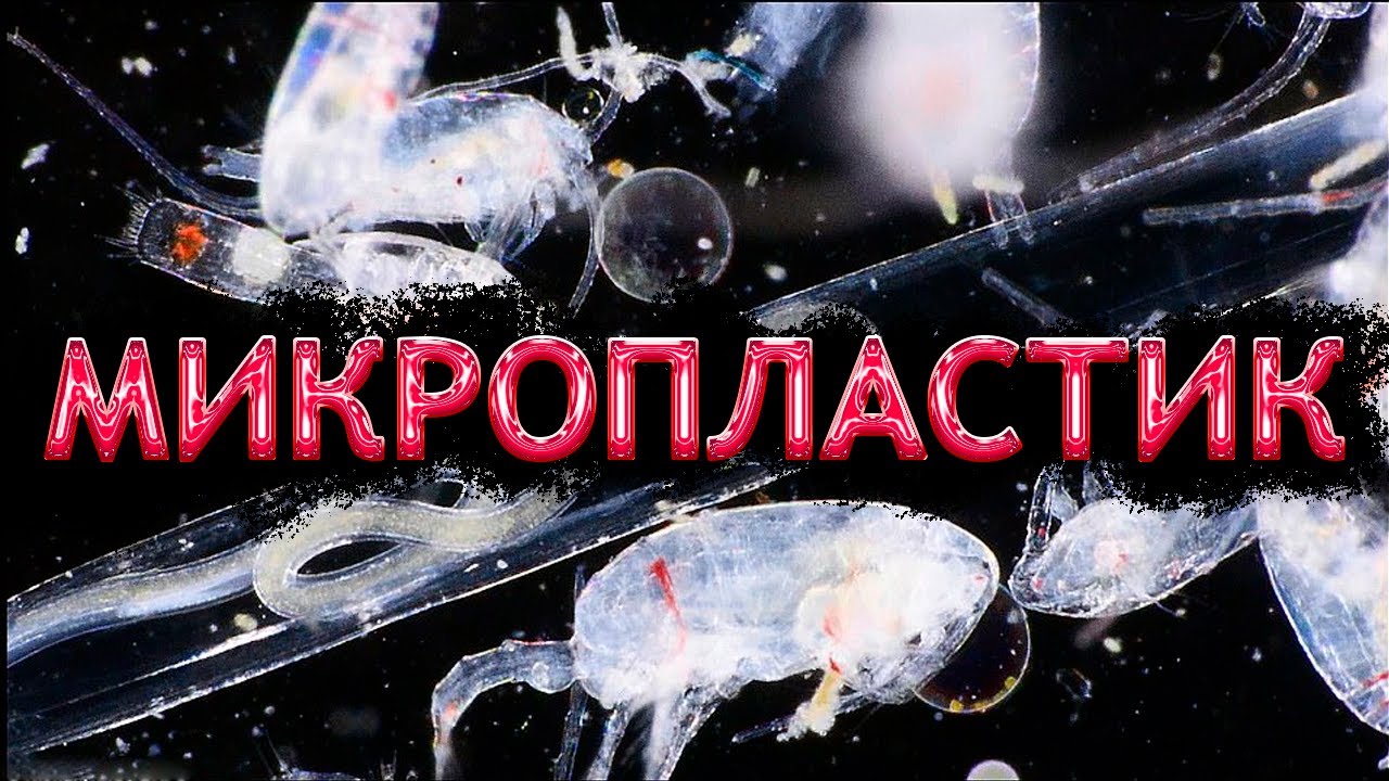МИКРОПЛАСТИК