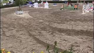 Easy, experienced, consistent 1:20 pony  - ad ref; 301849