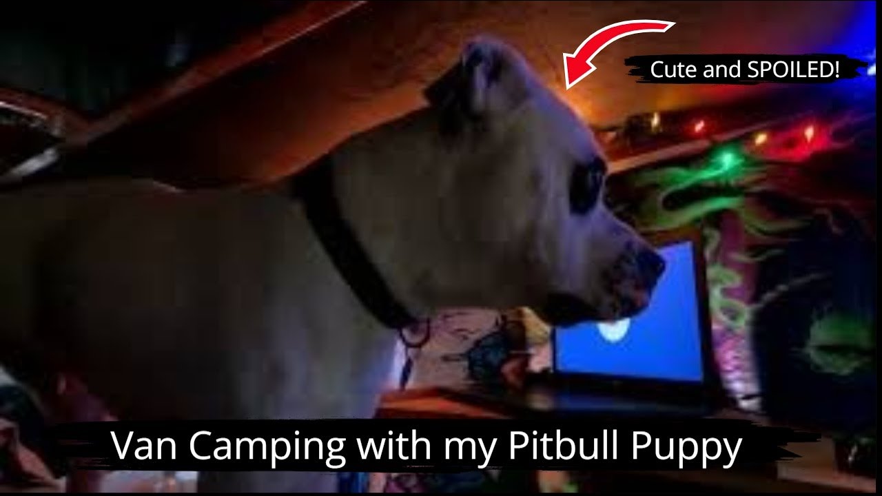 Van Camping in Cold, Stormy Weather - Is It Worth It?