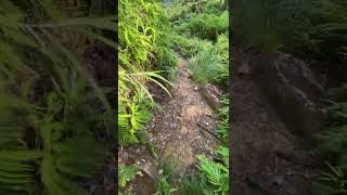 IMG 4675
