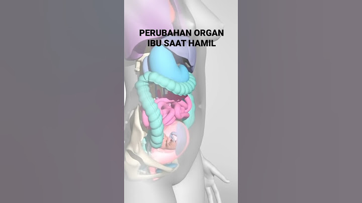 Perubahan organ tubuh ibu saat hamil #tipskesehatan #pregnancy #baby