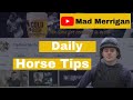 Uk Horse racing tips 🐎| Mad Merrigan