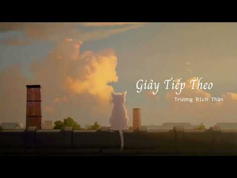 [Vietsub + Pinyin + Hanzi] Giây Tiếp Theo (下一秒) - Trương Bích Thần (张碧晨) OST Lyrics Hán Việt