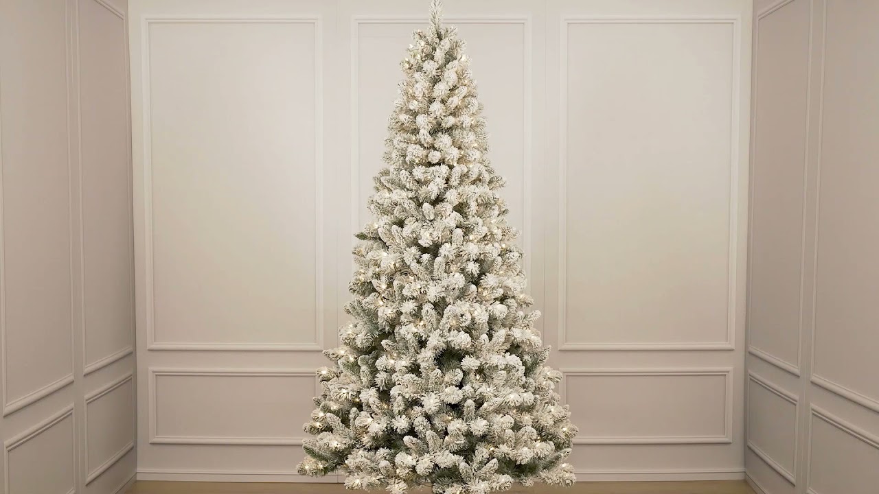 6.5ft. Pre-Lit Flocked Virginia Pine Artificial Christmas Tree, Clear  Lights | Michaels