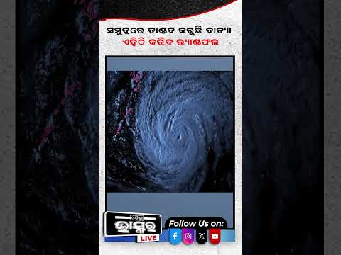 ସମୁଦ୍ରରେ ତାଣ୍ଡବ କରୁଛି ବାତ୍ୟା, ଏଇଠି କରିବ ଲ୍ୟାଣ୍ଡଫଲ #ytshorts #shortsvideo #cyclonealert