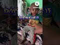 сЛисКасИ сИЭсКРсЛЙ сНЕсММ сИНсМЕ сКРсКЭ Eshetu Melese Donky Tube Ethiopian Comedy Funny Kids Seifu On Ebs сЛисКасИ сИЭсКРсЛЙ сНЕсММ сИНсМЕ сКРсКЭ Eshetu Melese Donky Tube Ethiopian Comedy Funny Kids Seifu On Ebs