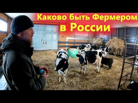 Каково это быть фермером в России. Знакомство с Фермерским Хозяйством