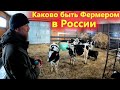 Каково это быть фермером в России. Знакомство с Фермерским Хозяйством