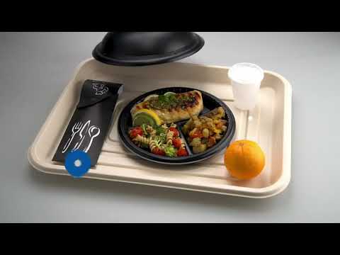 Introducing The Dinex Bagasse Disposable