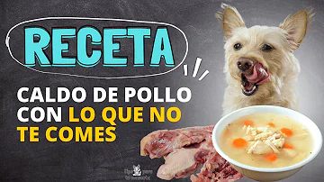 ¿Es bueno el caldo de pollo para la deshidratación de los perros?