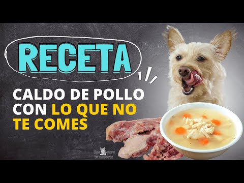 Video: Caldo De Pollo Casero Para Cachorros