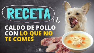 CALDO DE POLLO PARA TU MASCOTA - YouTube