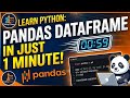 Python Pandas Project That Takes 3 Minutes | Learn DataFrame Basics