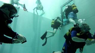 Lodge scuba hanging out at Nemo 33