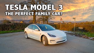 Tesla Model 3 as a family car!? Is it big enough or wait for model Y?