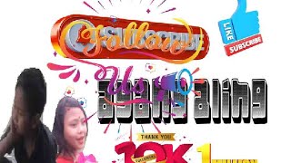 Missing Cover Video Ayang Aling Doley Aao