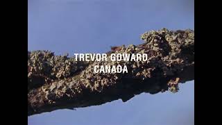 1+1+1 | Trailer | BELDOCS 2026