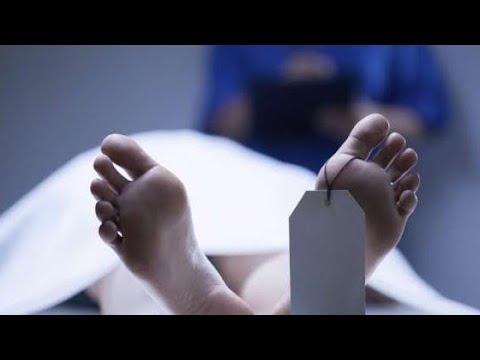 تحقيقات جرائم جديدة فك لغز جريمة القتل الثلاثيه 