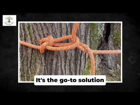 Tree Cabling Services