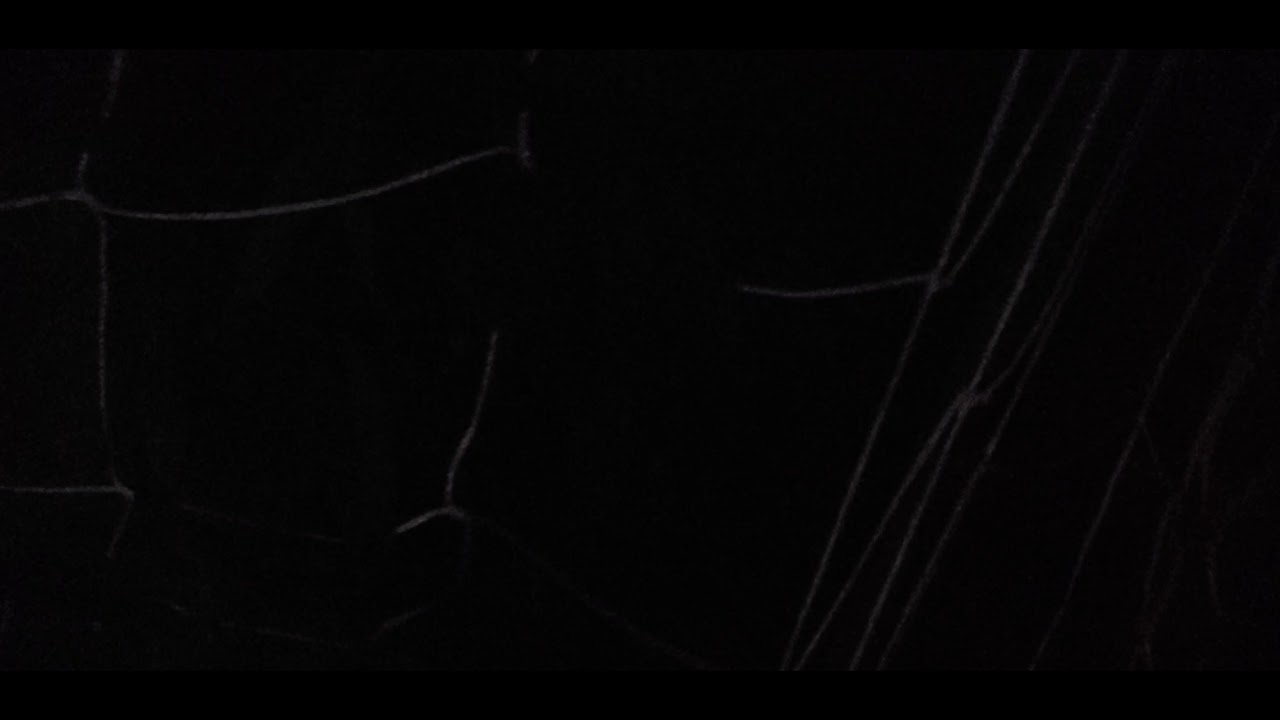 Foil spraying amazing doctor zymes