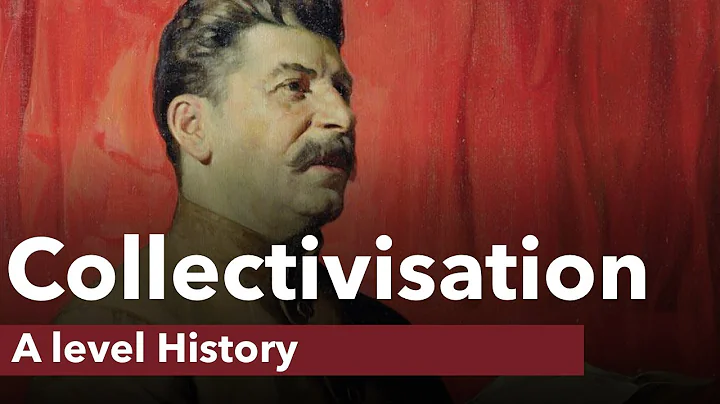 Collectivisation in the USSR - A level History - DayDayNews