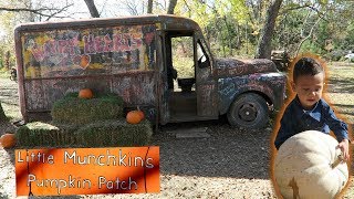 Pumpkin Patch/Fall 2018