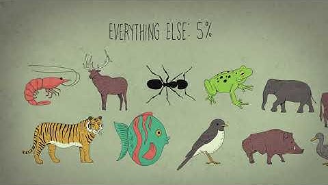 A Viral Spiral - part 1 (international version)