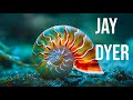 Mathematics in nature proves god  refutes atheism jay dyer