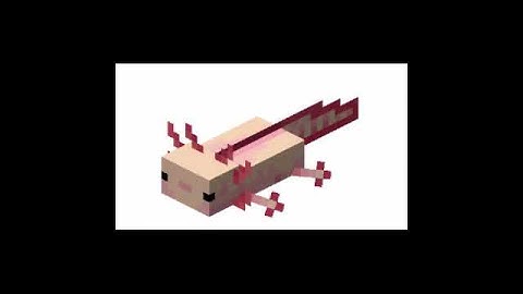 Minecraft Pet the axolotl 😳