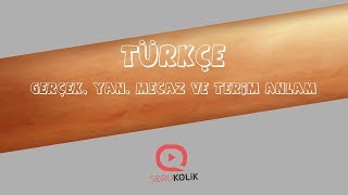 LGS Türkçe Sözcükte Anlam Özelliği -1 Gerçek, Yan, Mecaz ve Terim Anlam