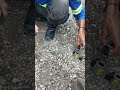 repair And cleaning selunied cuil #backhoe #everyone