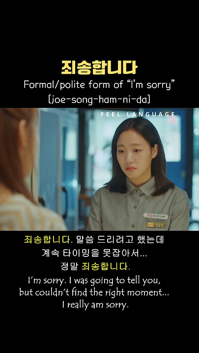 죄송합니다