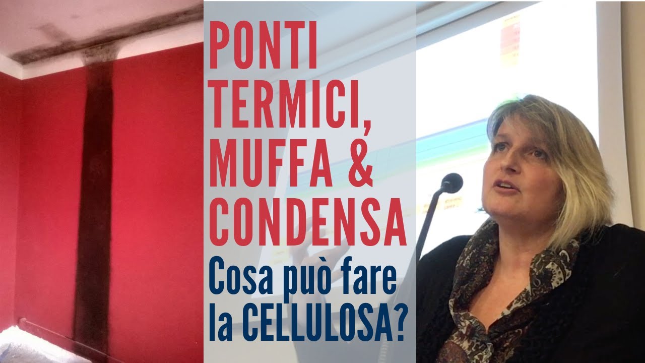 Ponti Termici, Muffa e Condensa: Cosa può fare la Cellulosa?