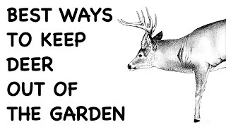 Keeping Deer Out of the Garden  FHC Q & A