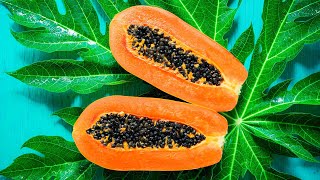 картинка: Папайя из семян ( 4К )