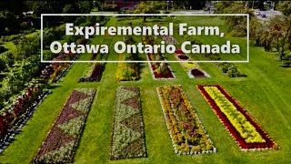 ORNAMENTAL GARDEN & DOMINION ARBORETUM